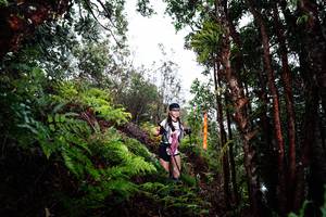 BIB: 
                            <button type="button" onclick="openModal(26205415)" class="btn btn-primary btn-sm float-right btn-popup" data-toggle="modal" data-target=".modal-high-quality">
                        <i class="fas fa-shopping-cart"></i> Add to Cart
                    </button>
                                            <button type="button" onclick="isThisMe(26205415, true)" class="btn btn-success btn-sm float-right btn-popup btn-isme hidden" data-toggle="tooltip" data-placement="bottom" title="นี่คือรูปของคุณใช่ไหม คลิกที่นี่เพื่อเอาเข้าอัลบั้ม">
                        <i class="fas fa-plus"></i> Add to album
                    </button>
                    <button type="button" onclick="isThisMe(26205415, false)" class="btn btn-warning btn-sm float-right btn-popup btn-isnotme hidden">
                        <i class="fas fa-ban"></i> Remove from album
                    </button>